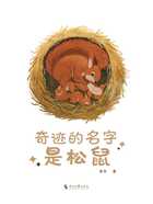 奇迹的名字是松鼠在线阅读