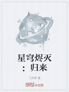 星穹烬灭:归来在线阅读