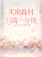 买房首付只需一分钱在线阅读