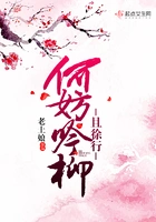 何妨吟柳且徐行在线阅读