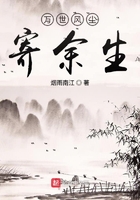 王者荣耀之万世风尘寄余生