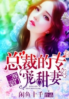 二嫁豪门:总裁的专宠甜妻在线阅读