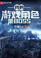 我的游戏角色是boss