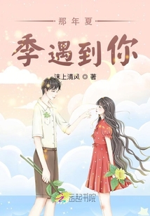 那年夏季遇到你