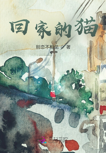 回家的貓