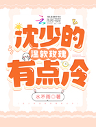 沈少的溫軟玫瑰有點冷在線閱讀