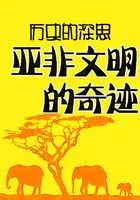 历史的深思:亚非文明的奇迹在线阅读