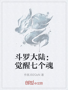 斗罗大陆:觉醒七个魂在线阅读