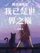 再见傅先生,我已是世界之巅点在线阅读