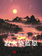 寂火染蓝原在线阅读
