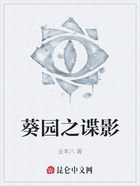葵园之谍影在线阅读