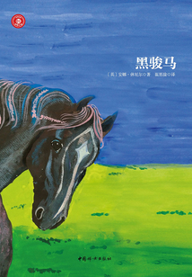 黑駿馬
