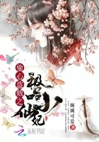 偷心盗贼之极品小仙妃在线阅读