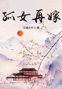 再嫁孤女之沁羽姝途