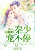 名门暖婚:秦少宠不停在线阅读