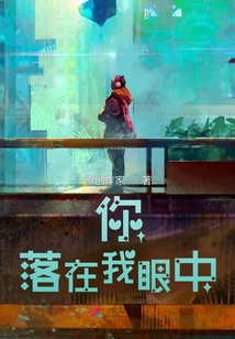 你落在我眼中