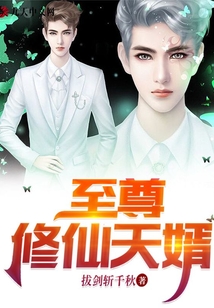 至尊修仙天婿