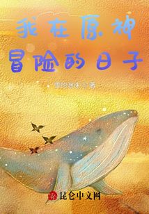 我在原神冒險(xiǎn)的日子