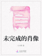 未完成的肖像在线阅读