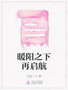 暖阳之下再启航在线阅读