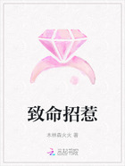 致命招惹在线阅读