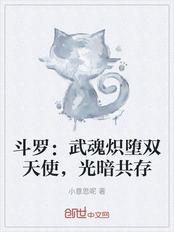 斗罗：武魂炽堕双天使，光暗共存在线阅读