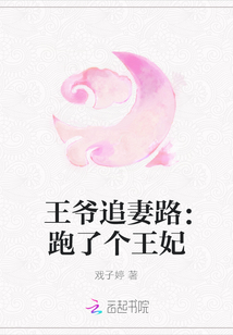 王爺追妻路：跑了個王妃