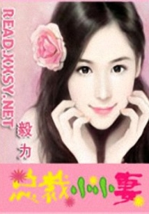 總裁小小妻