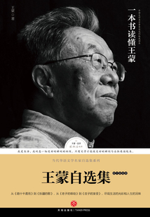 王蒙自选集:散文随笔卷