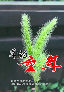草的童年