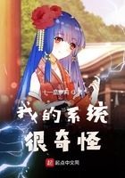 我的系統(tǒng)很奇怪在線閱讀