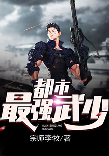 都市最強武少