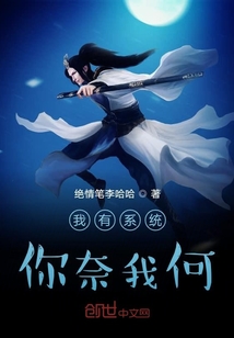 我有系統你奈我何