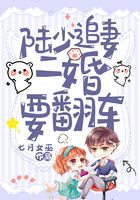 陸少追妻二婚要翻車在線閱讀