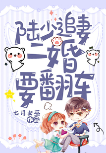 陸少追妻二婚要翻車