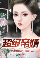 超級帝婿在線閱讀
