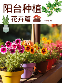 陽臺種植：花卉篇