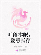 叶落木眠,爱意长存在线阅读