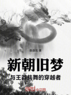 新朝旧梦:与王莽共舞的穿越者在线阅读