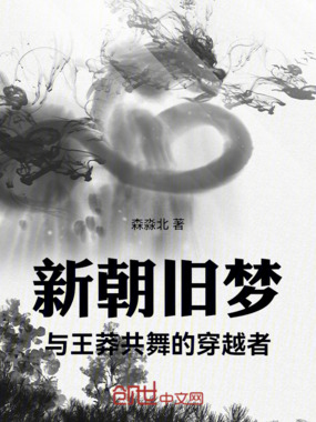 新朝旧梦:与王莽共舞的穿越者在线阅读