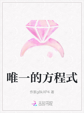 唯一的方程式在线阅读