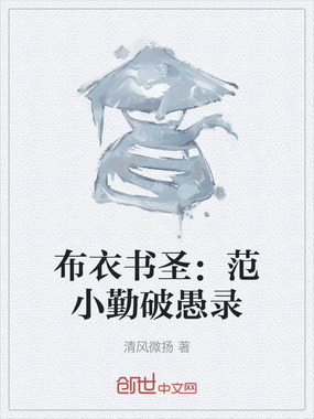 布衣书圣：范小勤破愚录在线阅读