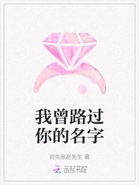 我曾路过你的名字在线阅读