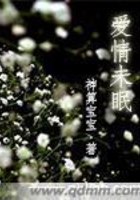 爱情未眠在线阅读