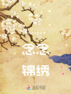 念念锦绣在线阅读