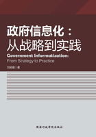 政府信息化：从战略到实践