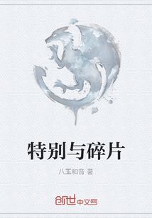 特別與碎片