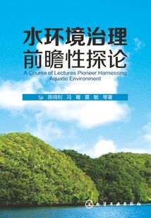 水環(huán)境治理前瞻性探論