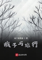 瘋之旅者在線閱讀