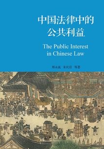 中國法律中的公共利益